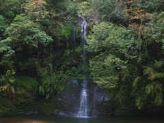 -龙苍沟森林公园