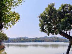 -桥西市场(环城西路)