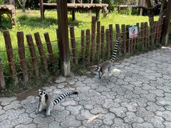 -宁波野生动物园