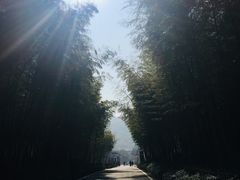 -天目湖御水温泉·度假酒店