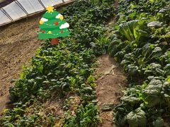 -万源龙顺度假庄园生态观光园