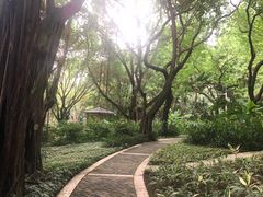 -广州珠江公园