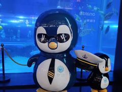 -成都浩海立方海洋公园