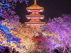 -东湖生态旅游风景区