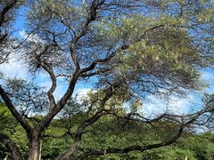 -卡塞拉自然公园