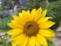 -优游吧斯邹族文化部落