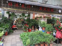 -武汉花鸟市场