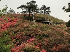 -木兰云雾山