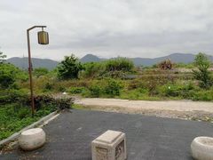 -三垟湿地