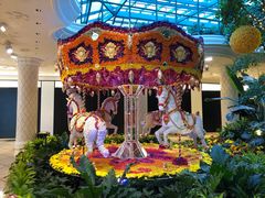 -拉斯维加斯永利酒店