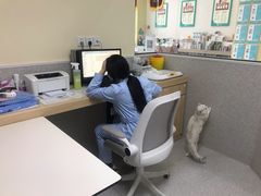 -谐和贝康宠物医院24小时·宠保定点(急重症转诊中心)