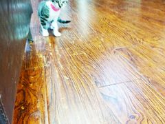 -国美电器成都分公司(双楠店)