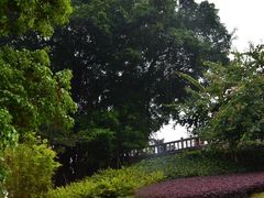 -乌山风景区