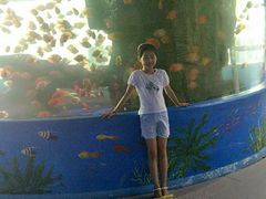 -泉州海丝野生动物世界