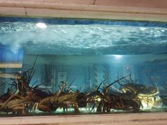 -顺峰(农展馆店)