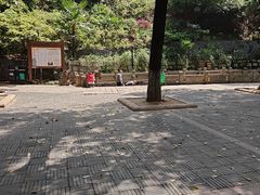 -白沙古井