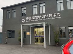 -申普宠物医院·心脏介入·心血管微创(总院)