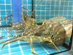 -坛南湾阿强农家乐.海鲜大排档老字号(福州地标美食店)