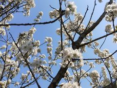 -三峡国际房车露营地(G348店)