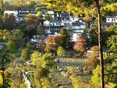 -塔川景区
