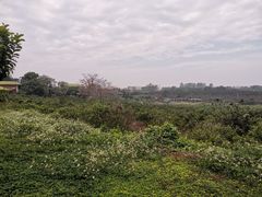 -侯臣咖啡文化村