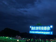 -海上田园