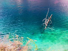 -叠溪松坪沟景区