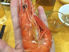 -蚝专家(北滘店)