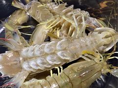 -渔傅·蓝海岸霞浦海鲜(正祥店)