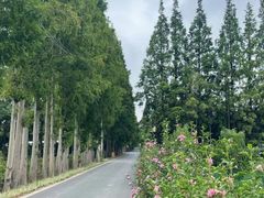 -前小桔亲子创意农场·草莓采摘·露营烧烤