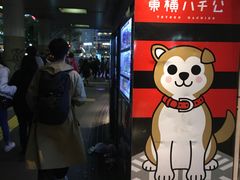 -涩谷区