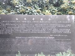 -洛阳白马寺