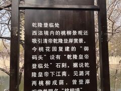 -桃花堤公园