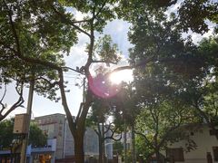 -星巴克(夏碧路店)
