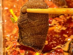 -小龙坎火锅(IFS HOT店)