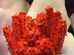 -雍容荟活帝王蟹活龙虾自助(苏宁旗舰店)