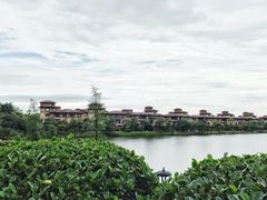 -美的鹭湖森林度假区