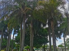 -石炮台公园