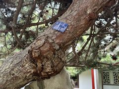 -金春禧(世茂国际广场店)