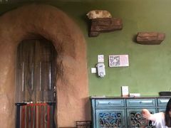 -猫猫幼稚园·撸猫·桌游·电玩