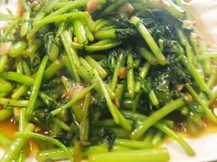 蒜蓉茼蒿-好吃饺子家常菜(金海小区店)