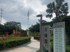 -万绿园