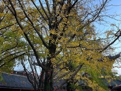 -南山风景名胜区