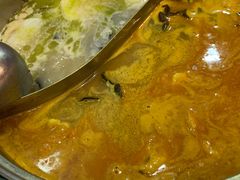 自制印度咖喱锅底-呷哺呷哺(西单大悦城店)