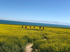 -青海湖国家重点风景名胜区