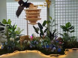 -AIST爱思特医疗美容医院