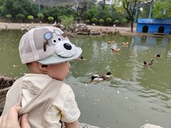 -森林公园(尖草坪区)