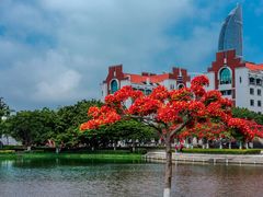 -厦门大学(思明校区)