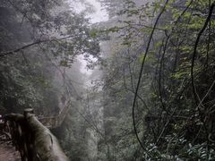 -鹿院坪生态旅游景区