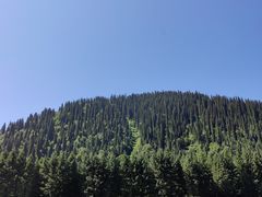 -新疆那拉提国家旅游度假区